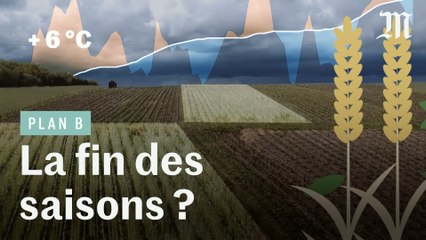 Comment cultiver quand il n’y a plus de saisons ?