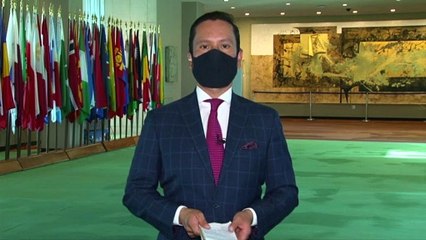 Consejo de Seguridad de la onu reafirma apoyo unánime a la paz en Colombia