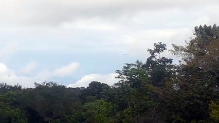 Boeing 737 MAX 8 PR-XMC na aproximação final antes de pousar em Manaus vindo de  Brasília