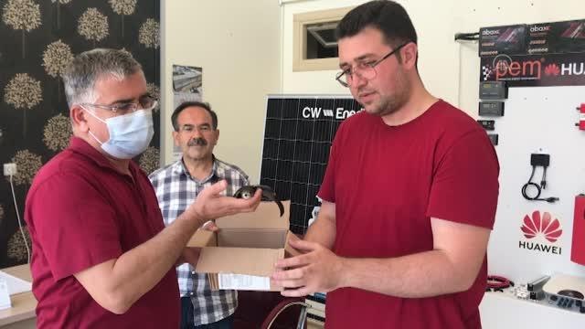 KAHRAMANMARAŞ - İş yerine giren ebabil korumaya alındı