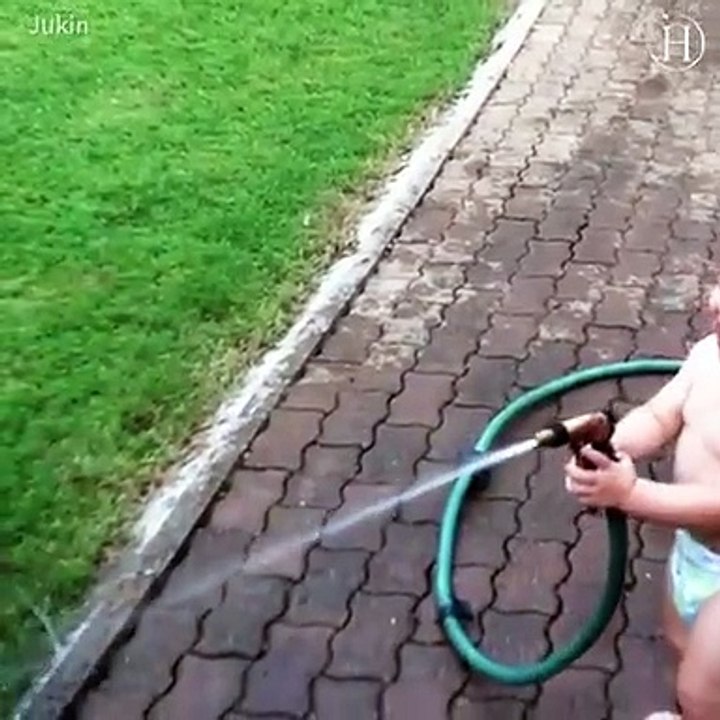 Baby & pet relationship