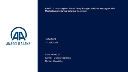 BAKÜ - Cumhurbaşkanı Erdoğan, Azerbaycan Milli Meclisi Başkanı Gafarova ile görüştü
