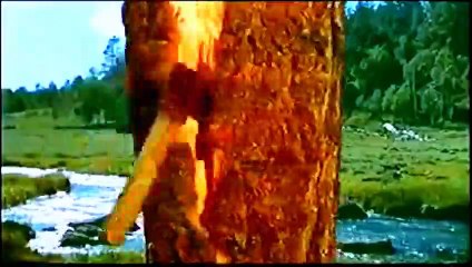 Por um punhado de rifles (seriado ) DANIEL BOONE - Dublado