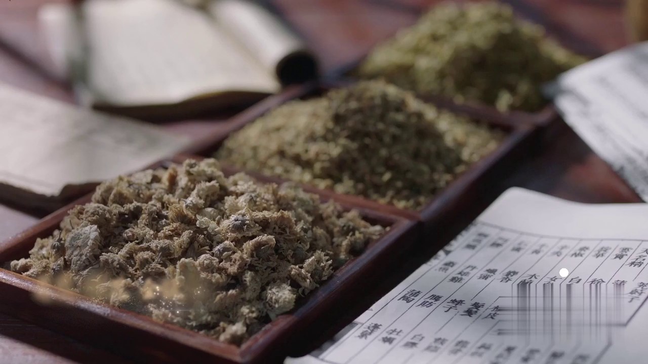 Chanson chinoise « Descendant de la sage de la médecine chinoise » 医圣传人