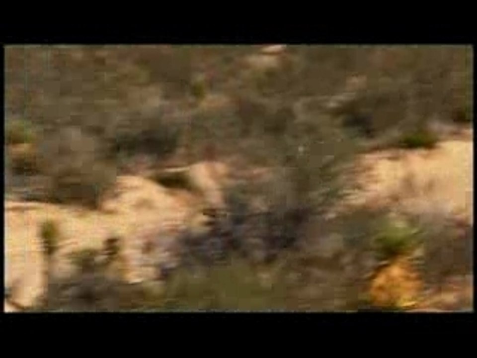 2007 SCORE Baja 1000 – Trophy Trucks