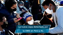 Variante Lambda del Covid: la nueva cepa detectada por la OMS en Perú y América Latina