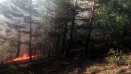 KARS - Sarıkamış'ta örtü yangını