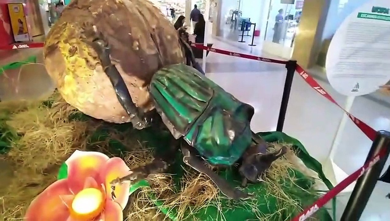  OUTLET de las Américas BOGOTÁ Colombia co |  El regalo para la abue ❤️