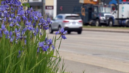 CH 16 Juin TOPO Travaux reportes dans Charlevoix WEB