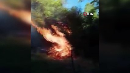 Köyde çıkan yangında 4 bahçe zarar gördü