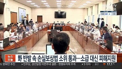 野 반발속 손실보상법 소위 통과…소급 대신 피해지원