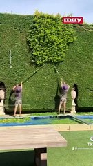 Después de un largo día, esto te relajará. 