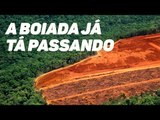 O desmatamento na Amazônia, a boiada e os retrocessos de Salles em meio à pandemia