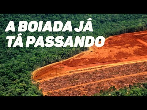 O desmatamento na Amazônia, a boiada e os retrocessos de Salles em meio à pandemia