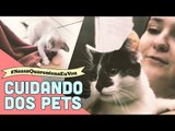 3 dicas certeiras para você cuidar dos seus gatos nesta quarentena