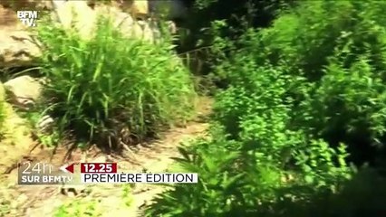 24H sur BFMTV: les images qu'il ne fallait pas rater ce mercredi - 16/06