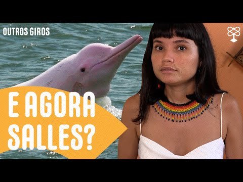 Boto da Amazônia entra na lista animais ameaçados de extinção durante o governo Bolsonaro