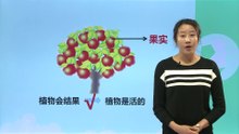 5植物——《植物是“活”的吗》|小学科学
