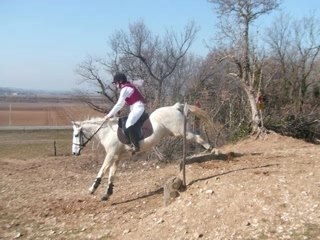CCE a l'okapi