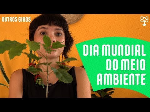 Veja algumas dicas de preservação ambiental, na semana do Meio Ambiente