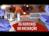 Como está DE FATO a vacinação contra a covid-19 no Brasil?