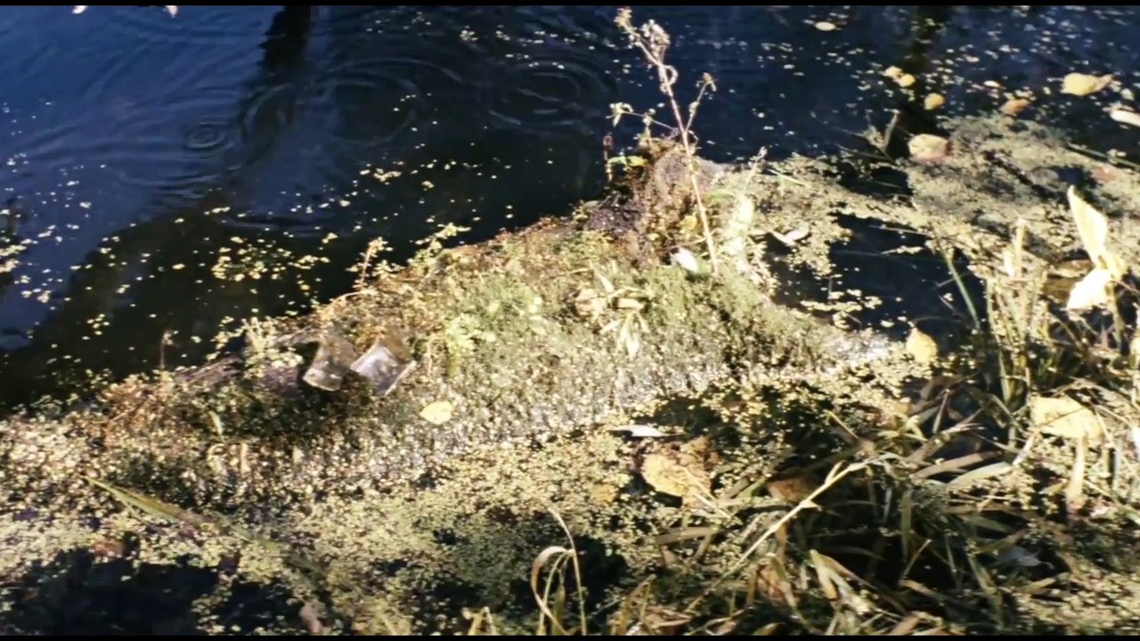 Tarkovsky and the art of cinema