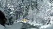 Person Drives Through Snow-Covered Road And Witnesses Wild Animals Crossing It