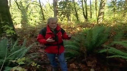 World Of Mysteries On The Trail Of Bigfoot