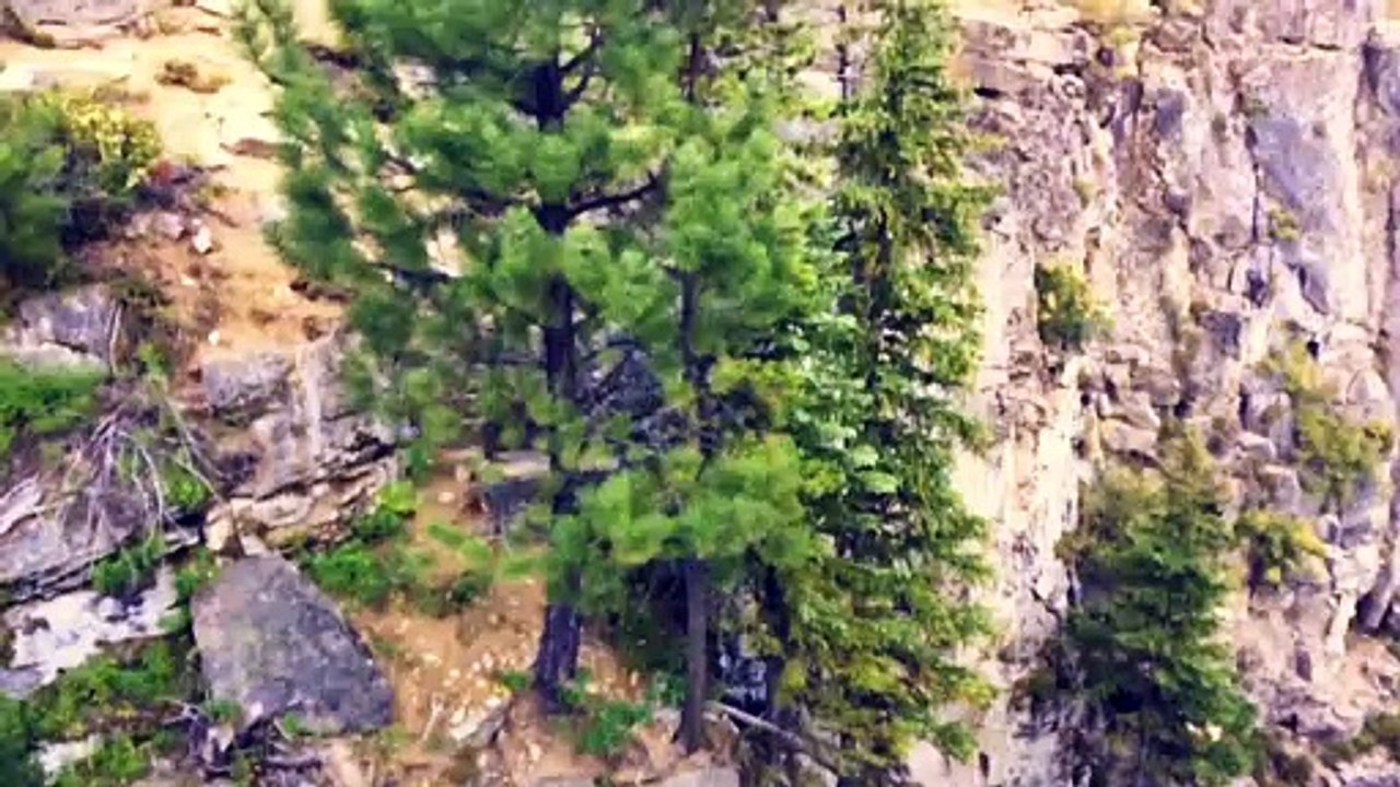 Relaxing, Calming And Peaceful Music With Beautiful Nature Scenery For Meditation #peace #meditation