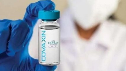 Covaxin contains 'Calf Serum'? Know facts
