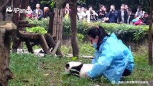 教小朋友走路即视感