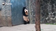 这真的是人扮的吧