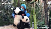 奶妈明显忙不过来了