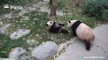躲得过初一，躲不过十五