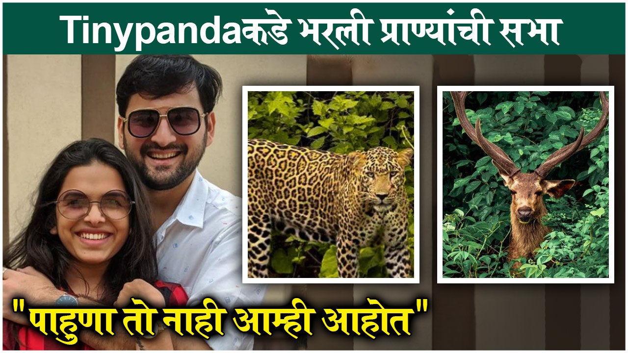 Siddharth Chandekar Shares LEOPARD Photos, Says - "पाहुणा तो नाही आम्ही आहोत" | Mitali Mayekar
