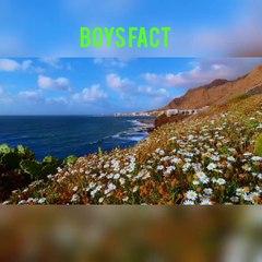 Boys facts highlights