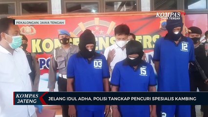 Polisi Tangkap Pencuri Spesialis Kambing