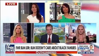 Former Blm Leaders Says He Quit Over The 'Ugly Truth'