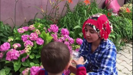 'İnsan yüzlü örümcek' İzmir’de de görüldü