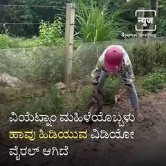Hair-Raising Video Of Vietnamese Woman Catching A Snake Goes Viral