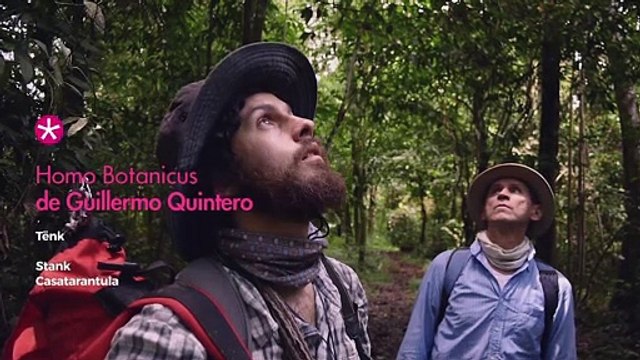 Palmarès 2021 des Étoiles de la Scam