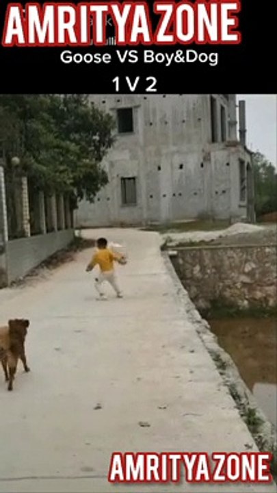 #New short video viral//cute boy and dogs or butak Ka video