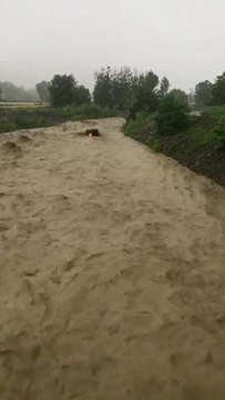 Samsun'da aracın sele kapıldığı anlar kamerada