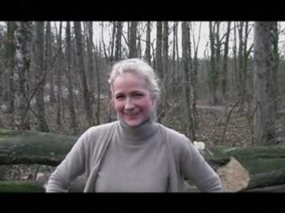 Folge 67: Was ist ein Mainbord?