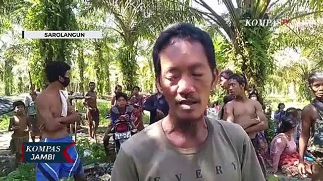 Sering Diusir, Orang Rimba Melapor ke Komnas HAM