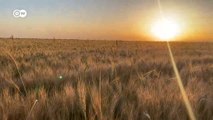 Yaşam kaynağı bozkırlar | “Göbeklitepe orada tesadüfen kurulmadı”