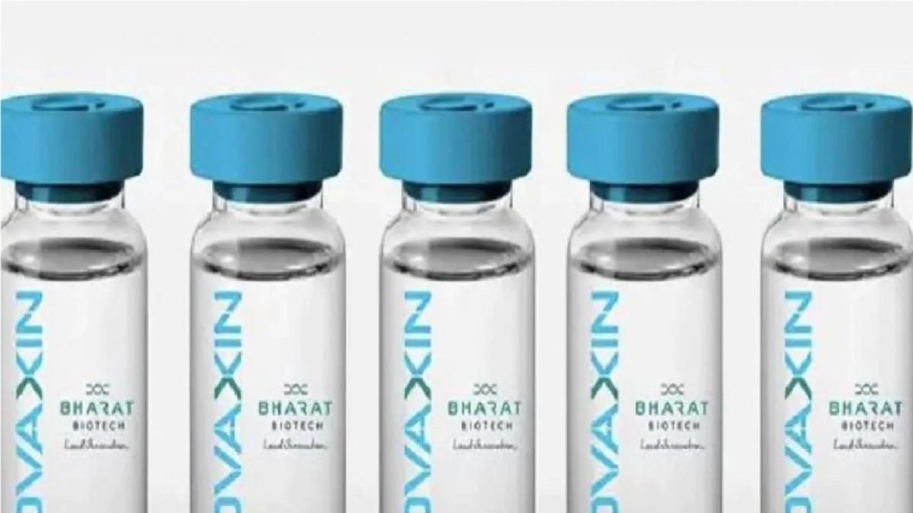 Calf serum in Covaxin? Cong leader's claim sparks debate