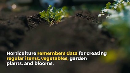 Brent Emerson Charlotte North Carolina | Job Opportunities in Horticulture