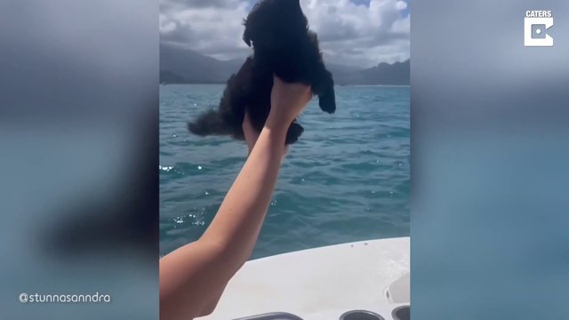 Woman Falls For Puppy While On Holiday And Brings Him Home_# ANIMAL LOVERS