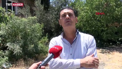 Gaziantep'te bulunan mozaikler tarihe ışık tutuyor